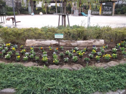 花壇への花の配置 花壇への花の配置