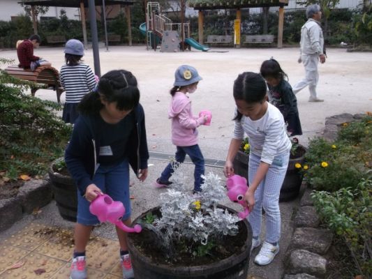 樽鉢へ水やり 樽鉢へ水やり