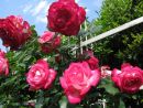 Array.title