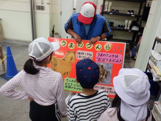 厩舎見学