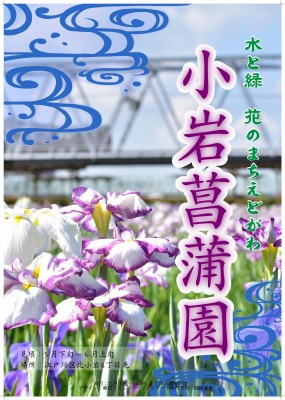 花菖蒲のポスター