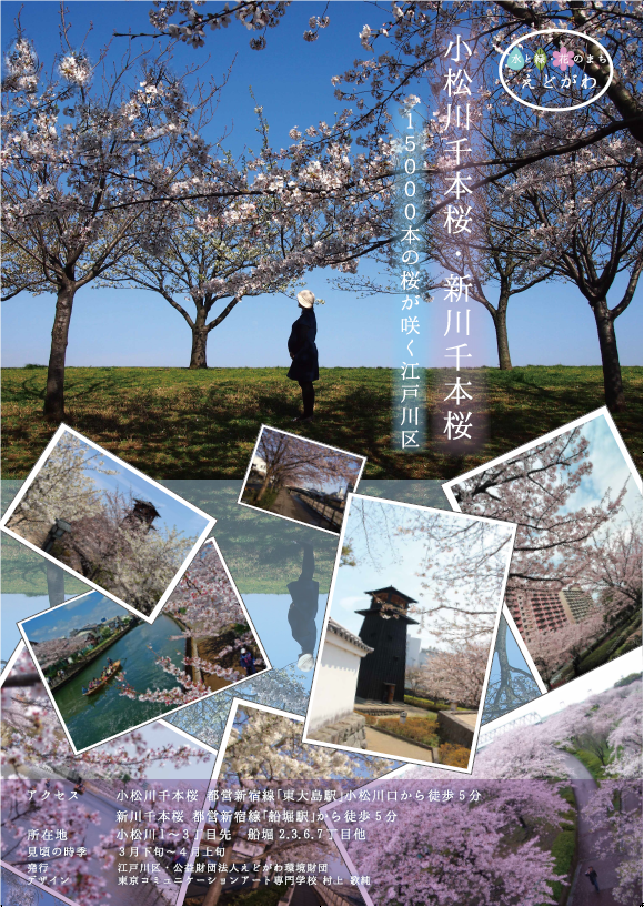 桜のポスター