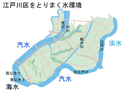 江戸川区をとりまく水環境