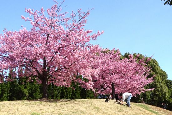 関連画像