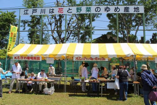 関連画像