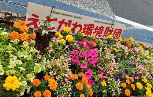 関連画像