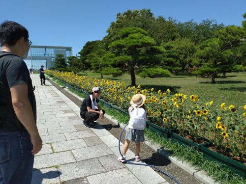関連画像