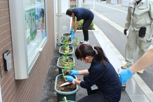 関連画像