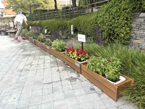 関連画像