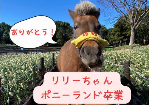 関連画像