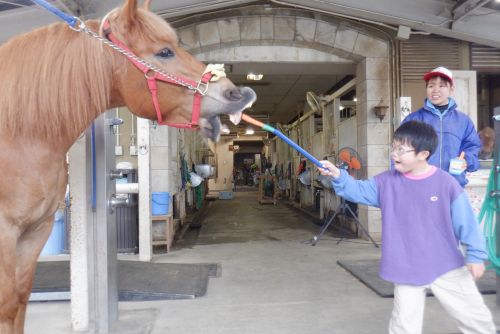 関連画像
