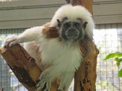 年05月の自然動物園ぶろぐ 自然動物園 公益財団法人 えどがわ環境財団