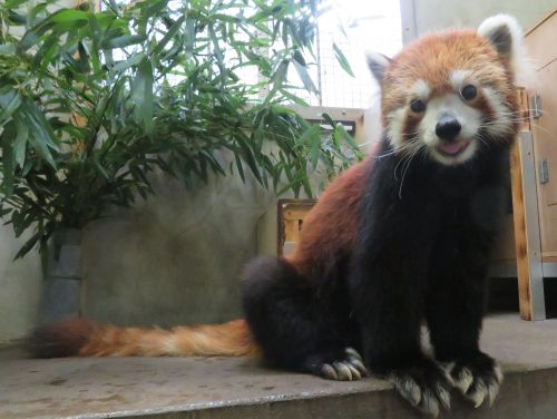 年07月の自然動物園ぶろぐ 自然動物園 公益財団法人 えどがわ環境財団