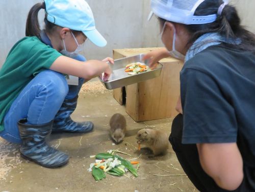 関連画像