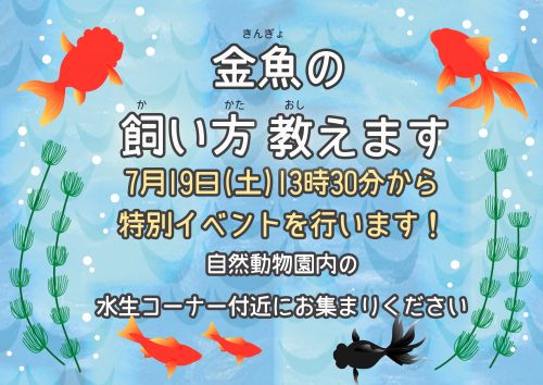 関連画像