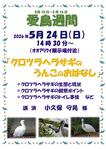 関連画像