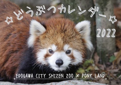 どうぶつカレンダー販売のお知らせ ニュース 自然動物園 公益財団法人 えどがわ環境財団