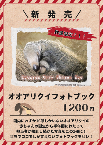 関連画像
