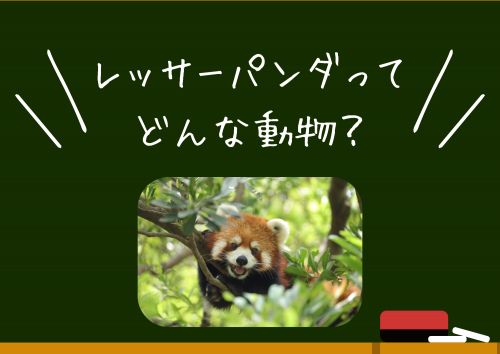 関連画像