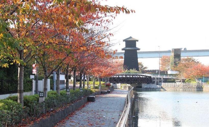 水とみどり花の情報