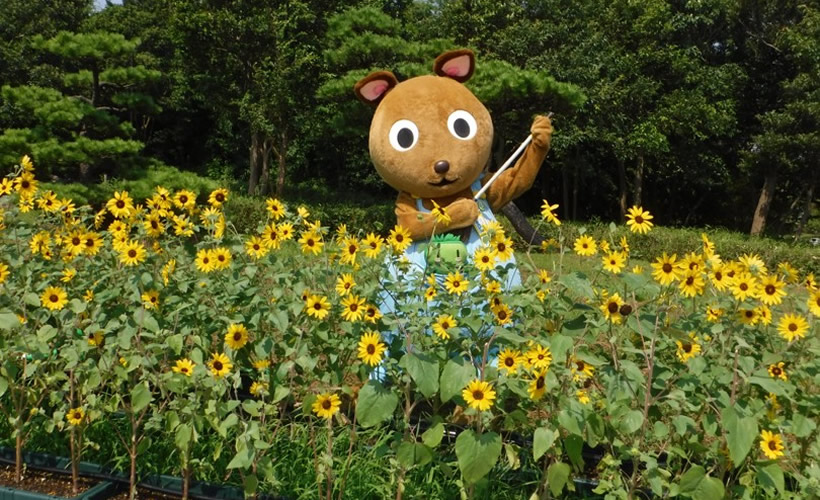 水とみどり花の情報