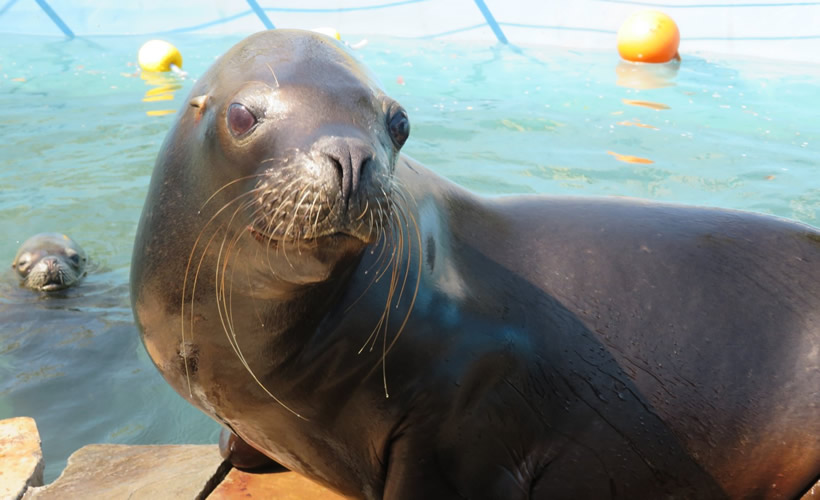 自然動物園