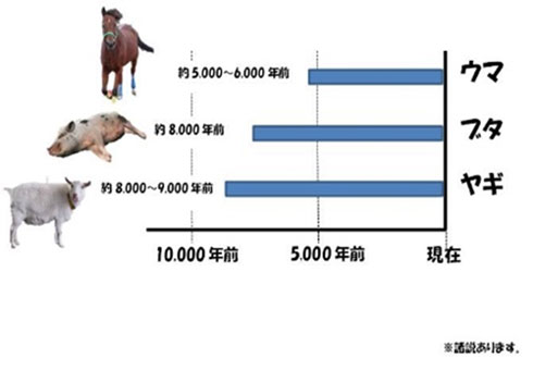 動物クイズ キッズページ 公益財団法人 えどがわ環境財団